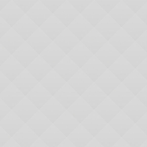 Effective Lecturing Skills in English Effective Lecturing Skills in English