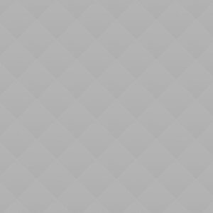 Language Trainings Language Trainings